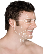 face_mapping